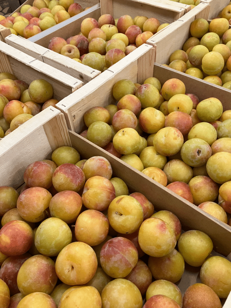 Avec près de 175 000 tonnes cultivées chaque année en France, la prune est un des fruits stars du moment 😉