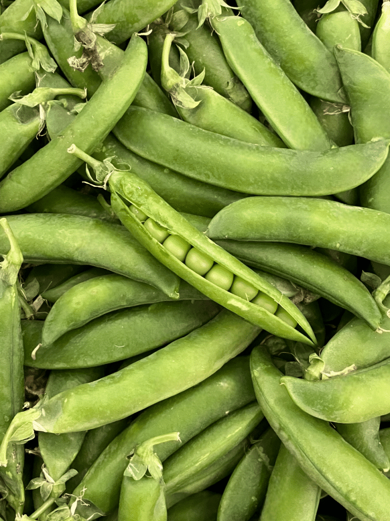 Comme un air de pré-printemps avec l'arrivée des premiers petits pois ! Petits par la taille mais riches pour la santé avec des apports en eau, glucides, fibres, vitamine B9, manganèse et phosphore.