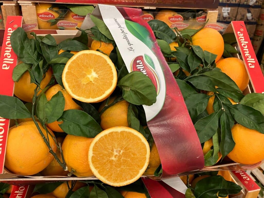 L’orange Newhall est un agrume incontournable, synonyme de plaisir et de bien-être.